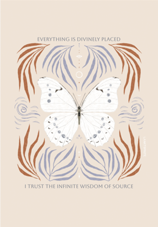 Borboleta Branca