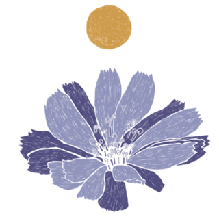 Flor Selvagem