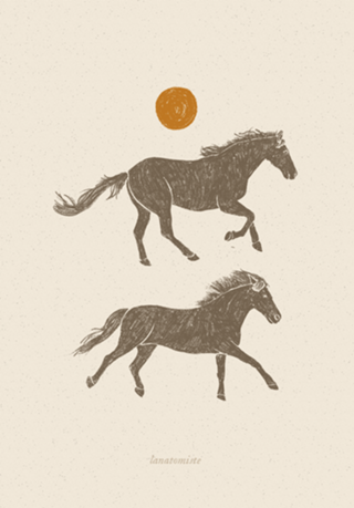 Cavalos Selvagens