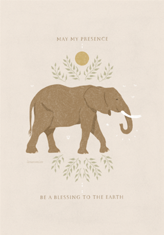 Elefante Spirit Animal