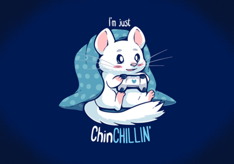 ChinCHILLIN and Gaming