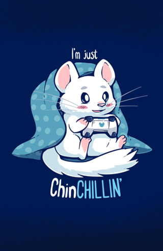 ChinCHILLIN and Gaming