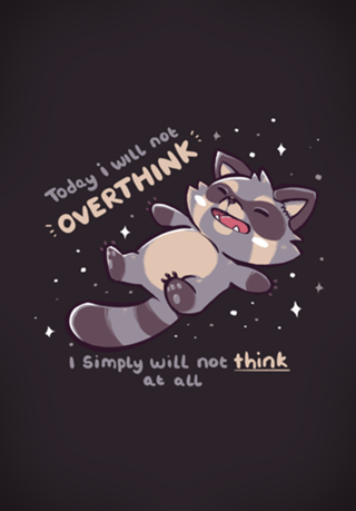 No Thoughts Raccoon