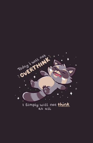 No Thoughts Raccoon