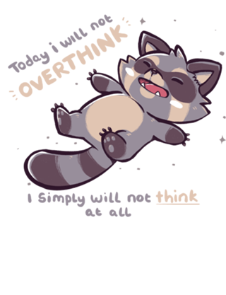 No Thoughts Raccoon