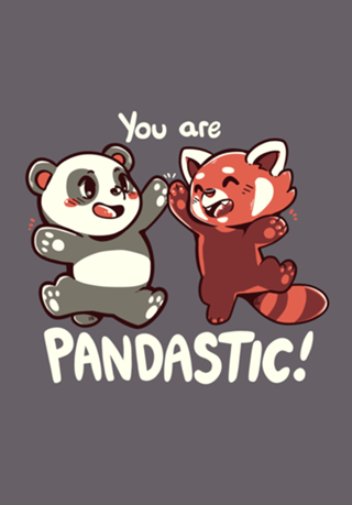 You are PANDASTIC