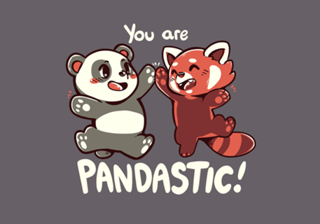 You are PANDASTIC