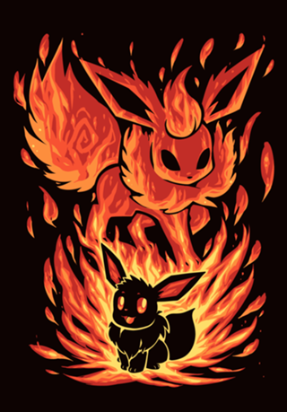 The Fire Evolution Within