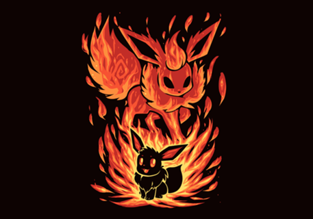 The Fire Evolution Within