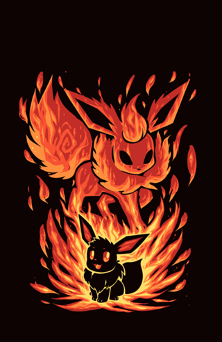 The Fire Evolution Within
