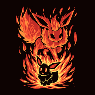 The Fire Evolution Within