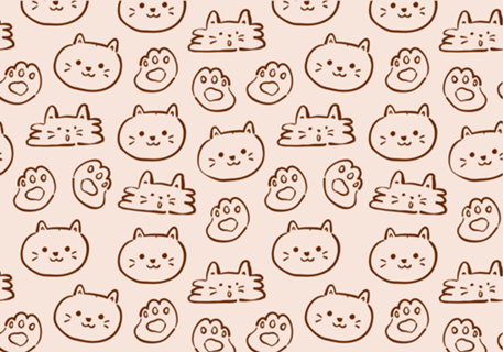 Kitty