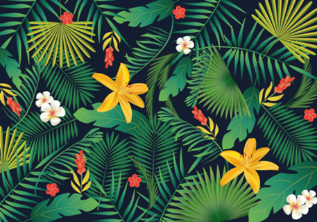 Natureza