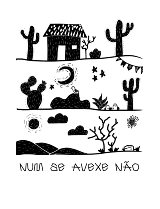 Coleção arte Cordel