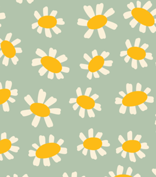 Margaridas