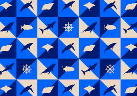Amo o Mar