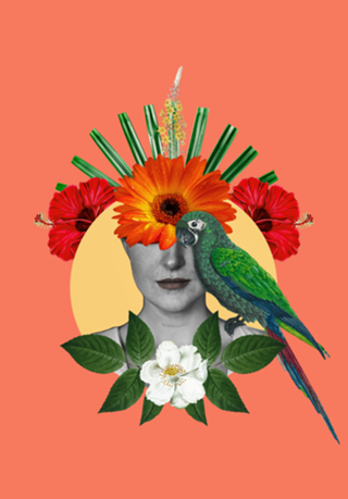 Harmonia em Flor