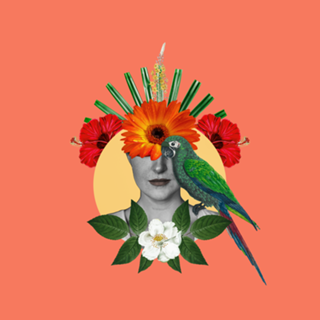 Harmonia em Flor