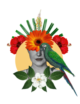 Harmonia em Flor