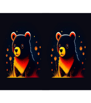 URSO FOFO