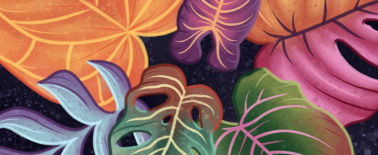 Colorful philodendron leaves