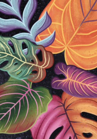 Colorful philodendron leaves