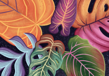 Colorful philodendron leaves