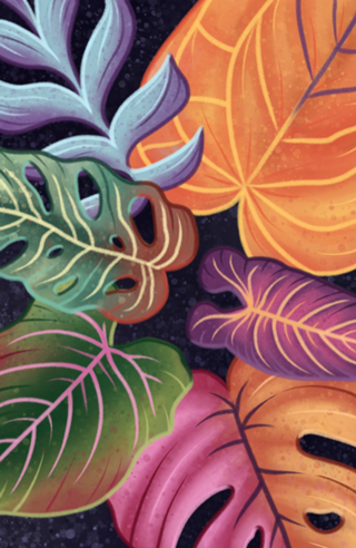 Colorful philodendron leaves