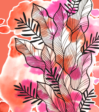 Folhagem Ben Aquarela Vermelha e Rosa