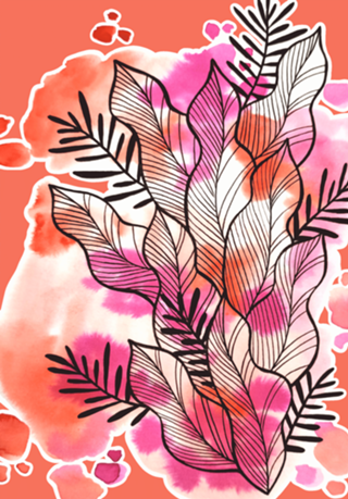 Folhagem Ben Aquarela Vermelha e Rosa