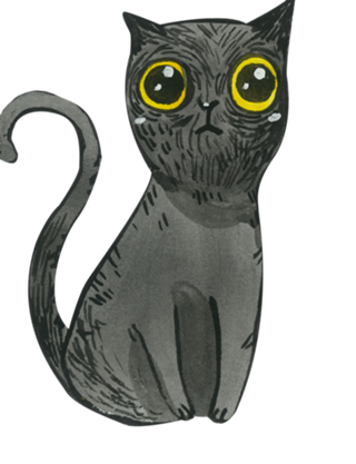 Gato Preto