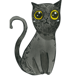 Gato Preto