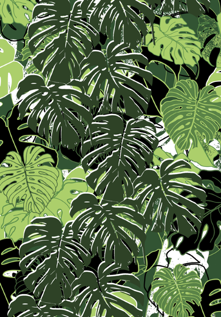 Folhas Tropicais de Monstera