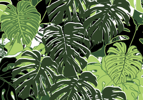 Folhas Tropicais de Monstera