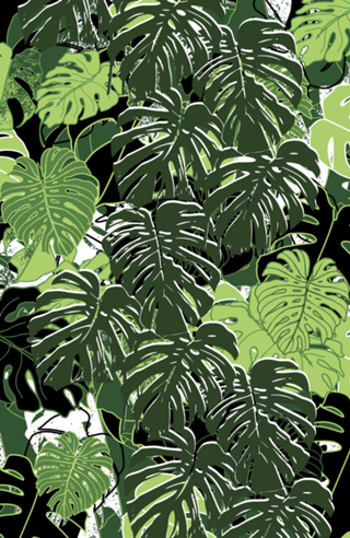 Folhas Tropicais de Monstera