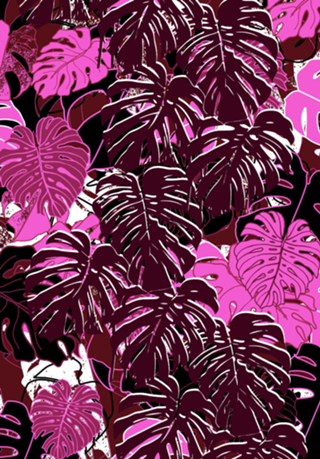 Folhas Tropicais Monstera - Rosa