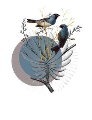 Blue Birds