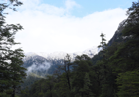 Patagônia