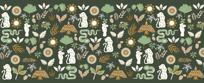 Coleção - Rosa Verde