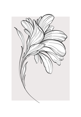Flor aesthetic MINIMALISTA