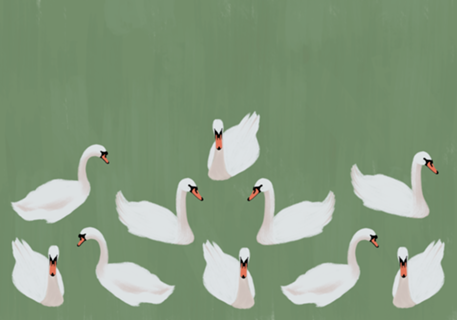 AMOR EM VENEZA - CISNE VERDE