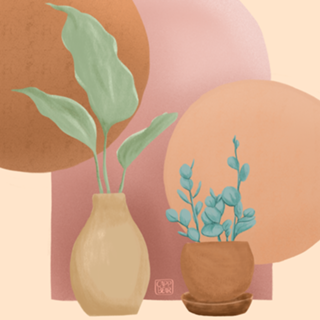 Plantinhas