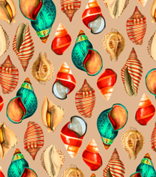 Seashell