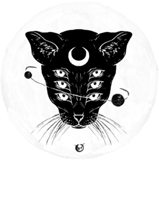 Cat moon