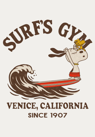 Surf's Gym