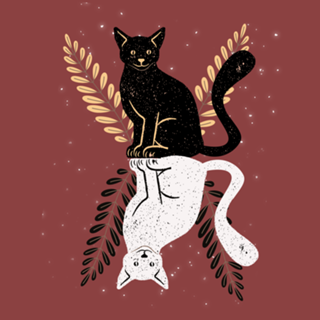 Double Cats