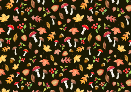 Fall Forest