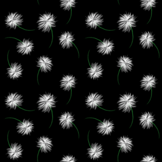 Pequena flor branca