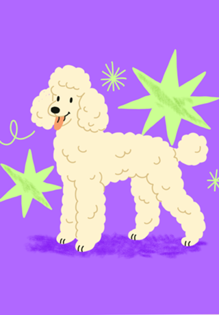 Pudou , cachorro , dog