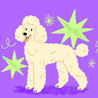 Pudou , cachorro , dog